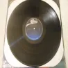 George Jones - Too Wild Too Long LP Vinyl Record For Sale