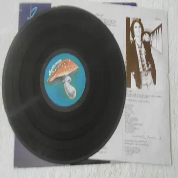 Ian Matthews - Stealin' Home LP Vinyl Record For Sale