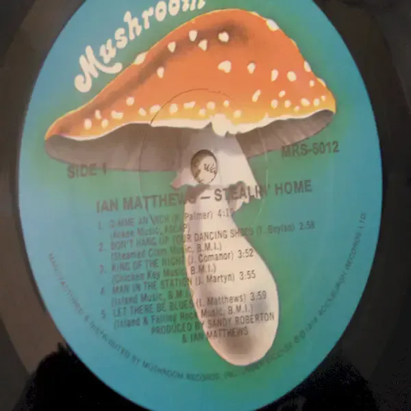 Ian Matthews - Stealin' Home LP Vinyl Record For Sale