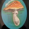 Ian Matthews - Stealin' Home LP Vinyl Record For Sale