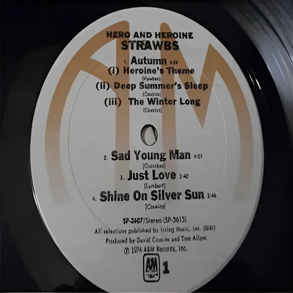 Strawbs - Hero And Heroine LP Vinyl Record For Sale