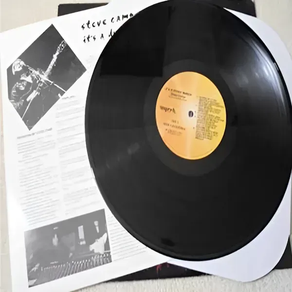 Steve Camp - It's A Dying World LP Vinyl Record For Sale