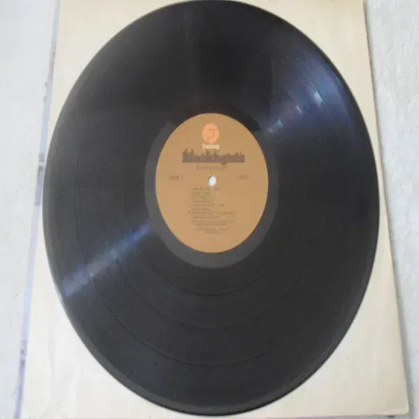 The Blackbyrds - Flying Start LP Vinyl Record For Sale