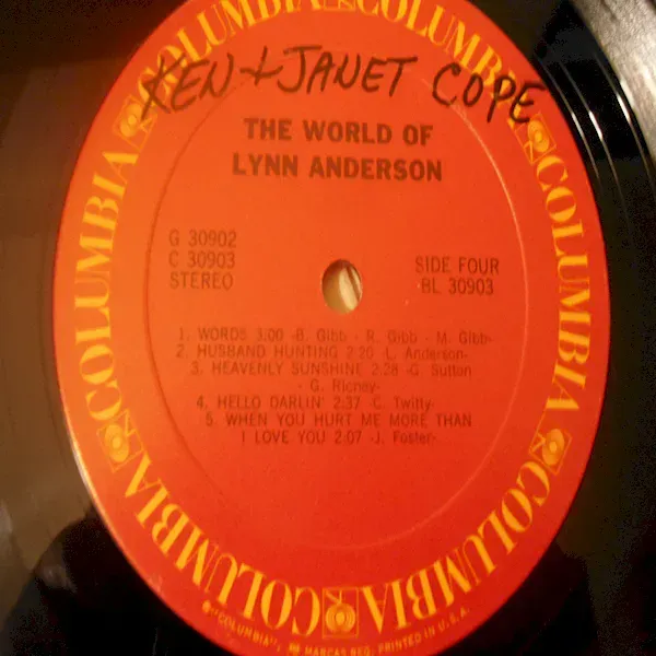 Lynn Anderson - The World Of Lynn Anderson LP Vinyl Record For Sale