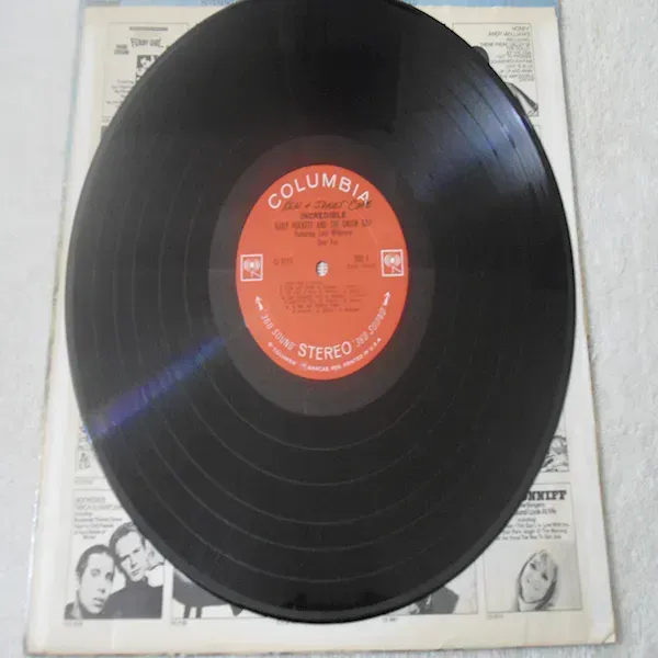 Gary Puckett And The Union Gap - Incredible LP Vinyl Record For Sale