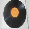 Charlie Rich - The Silver Fox LP Vinyl Record For Sale