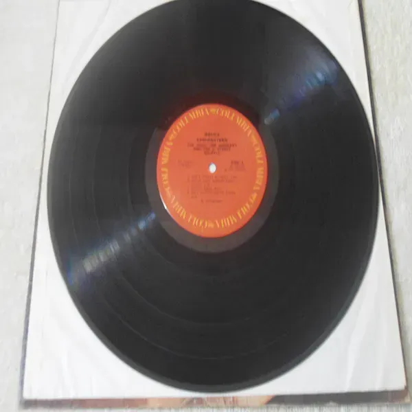 Bruce Springsteen - The Wild, The Innocent And The E Street Shuffle LP Vinyl Record For Sale