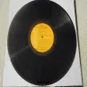 Dolly Parton - A Real Live Dolly LP Vinyl Record For Sale