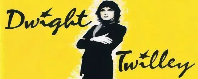 Dwight Twilly Vinyl Records Albums LPs For Sale - Rare Collectible